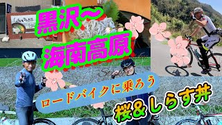 ロードバイクに乗ろう 花見ライド＃桜の花見＃春のロードバイク＃黒沢・海南高原ライド＃FSサイクリングクラブ＃コルナゴロードバイク＃ピナレロロードバイク [upl. by Sams]