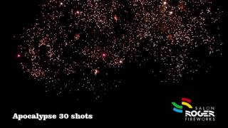 Apocalypse 30 Shots Vuurwerk Waaier Salon Roger Fireworks [upl. by Elad260]