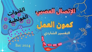 الإتصال العصبي كمون العمل  مصدره  التفسير الشاردي القنوات الفولطية bacscience bac2024 [upl. by Kondon]