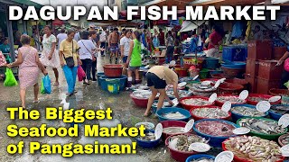 Dagupan Fish Market Tour 2024  Pangasinan’s Fresh Seafood and Amazing Prices  Philippines [upl. by Lockwood981]