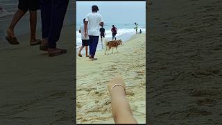 Beach in chennai shorts shortvideo alpokoregolpo bangalivlog [upl. by Edahs]