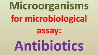 Microorganisms for microbiological assay of antibiotics [upl. by Eissac364]