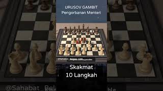 URUSOV GAMBIT Pengorbanan Menteri chess pembukaancaturmematikan [upl. by Trebmal]