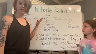 Nitrate biochemical test [upl. by Enilkcaj]