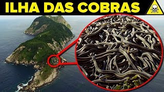 Conheça a PERIGOSA Ilha das COBRAS [upl. by Iorgos]