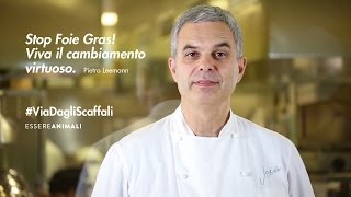 Lo chef Pietro Leemann contro il Foie Gras  per la campagna ViaDagliScaffali [upl. by Eseerahs]