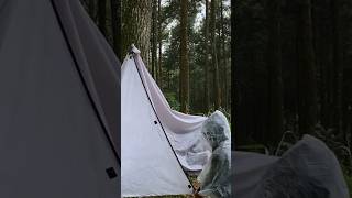 Solo Camping in Heavy Rain Building a Bushcraft Tent During Heavy Rain short [upl. by Phia]