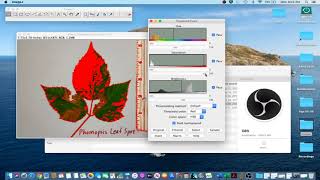 ImageJ Tutorial 1  Measure Leaf Disease Area amp Lesion Counts [upl. by Mozza363]