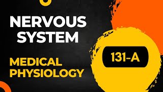 Neuron I Nerve fiber I Nerve cell  part 1 131 Sembulingam Physiology medical Physiology [upl. by Arahs]