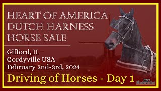 Preview of Sale Hoses Day 1  2024 Heart of America Dutch Harness Sale [upl. by Shermy]