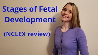 THE STAGES OF FETAL DEVELOPMENT  NCLEX REVIEW [upl. by Eserahs815]