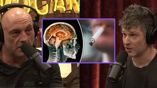 How Nicotine Protects the Brain amp Reduces Risk of Parkinsons Disease  Joe Rogan amp Max Lugavere [upl. by Nede]