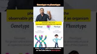 Genotype vs phenotype trending ytshorts neet jitendrasirrcscarrerinstitute [upl. by Ahsart925]