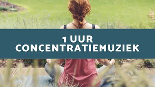 Inspiratiemuziek Concentratiemuziek voor Deepwork en Focus [upl. by Ainitsirk]