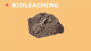 Future Extraction Methods Bioleaching and Phytomining [upl. by Publia484]