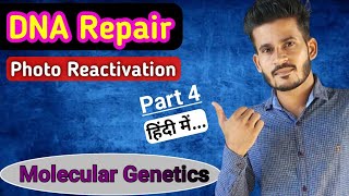 Photo reactivation  DNA Repair  Part 4  MSc CSIR NET GATE [upl. by Eenitsed]