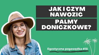 Jak i czym nawozić palmy  Egzotyczna Pogawędka 18 [upl. by Odraccir]