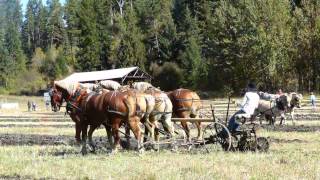 Annual Plowing Competition in Armstrong [upl. by Katusha]