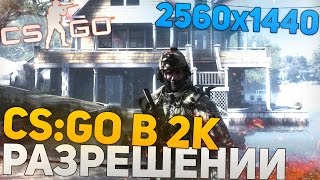 CS GO В 2К РАЗРЕШЕНИИ 2560х1440 60FPS [upl. by Normy657]