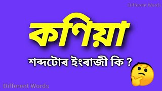 কণিয়া  ৰ ইংৰাজী কি  কণিয়া মানে কি  Assamese to English vocabulary  words meaning [upl. by Rehc853]