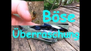 Wespenstich LIVE  Gefundene Angeltasche auspacken  Ausmisten Fischerhütte Teil 4 [upl. by Brookner]