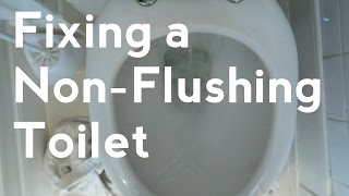 Toilet Wont Flush  Toilet Siphon Replacement for Close Coupled Toilet [upl. by Waldos961]