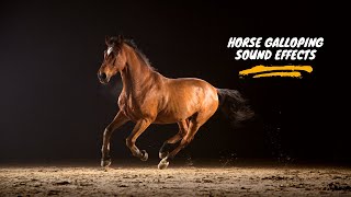 Horse Galloping Sound Horse Galloping Sound Effect Horse Sound Effect Horse Galloping [upl. by Mairym]