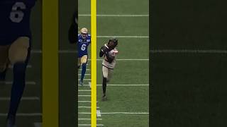 Alex Hollins quiets the Winnipeg crowd with this touchdown cfl football [upl. by Kameko]