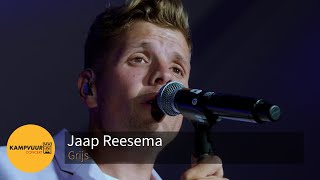 Jaap Reesema  Grijs  Kampvuurconcert 2023 [upl. by Umeh774]