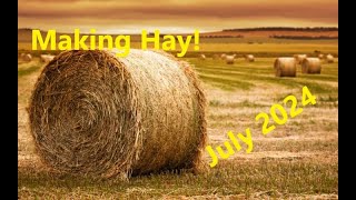 Were Making Hay  July 2024 [upl. by Aikrahs370]