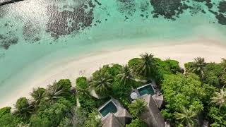 Beach Villas  Baros Maldives [upl. by Au899]