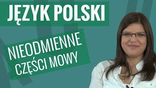 Język polski  Nieodmienne części mowy [upl. by Hetti]