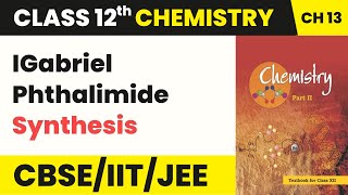 Gabriel Phthalimide Synthesis  Amines  Class 12 Chemistry Chapter 13 [upl. by Sukin]