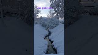 Çok güzelsin İsviçre⛄🌨️⛄Heidif2f nature travel isviçre snow reels keşfetbeniöneçıkar [upl. by Grefer657]