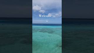 welcome to aruba youtubeshorts youtubevideo nature travel beach fyp 🇦🇼 [upl. by Meredithe]