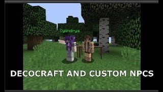 CUSTOM NPCS AND DECOCRAFT Minecraft Mod Showcase [upl. by Anilat]