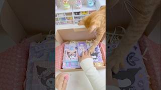 Kuromi 📦😼 sanrio kuromi cinnamoroll mymelody japan hellokitty cute shorts fyp asmr [upl. by Barram]