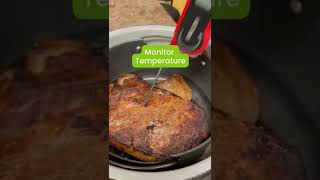 How To Use A Meat Thermometer [upl. by Seedman]