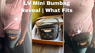 Louis Vuitton Mini Bumbag  Reveal amp What Fits [upl. by Jak]