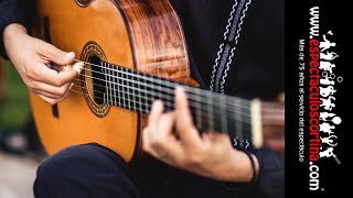 Guitarrista Flamenco Barcelona  Contratar Para Eventos [upl. by Janus]