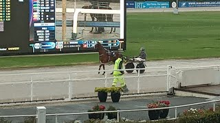 Trotting Horse Races at Alexandra Park Raceway in [upl. by Hess894]