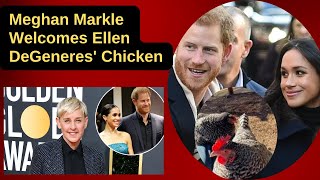 Meghan Markle Welcomes Ellen DeGeneres Chicken to New Home in Rare Instagram Video [upl. by Edison905]