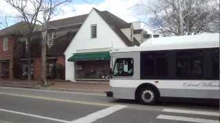 Colonial Buses in Williamsburg Virginia [upl. by Andrus]