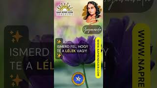 ✨A LÉLEK VAGY✨ yogananda [upl. by Howlend]