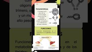 Adiponectina ciencia medicina biology [upl. by Alexandros]