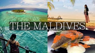 What THE MALDIVES is REALLY Like Explaining Paradise 😍 [upl. by Helgeson]