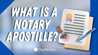 What is a Notary Apostille HOW TO GET Apostille Attestation [upl. by Amethyst]