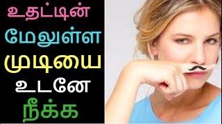 How to Remove Upperlip Hair  Unwanted Facial Hair Removal Naturally  Tamil Beauty tips [upl. by Ntsyrk56]