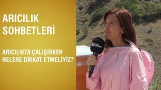 Yeni Başlayanlar İçin Arıcılık Eğitimi  Arıcılıkta Çalışırken Nelere Dikkat Etmeliyiz [upl. by Apicella]