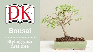 Bonsai Styling Your First Bonsai Tree [upl. by Llerrehc946]